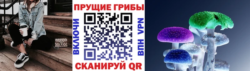 Псилоцибиновые грибы GOLDEN TEACHER  блэк спрут ССЫЛКА  Заречный  купить наркотики цена 