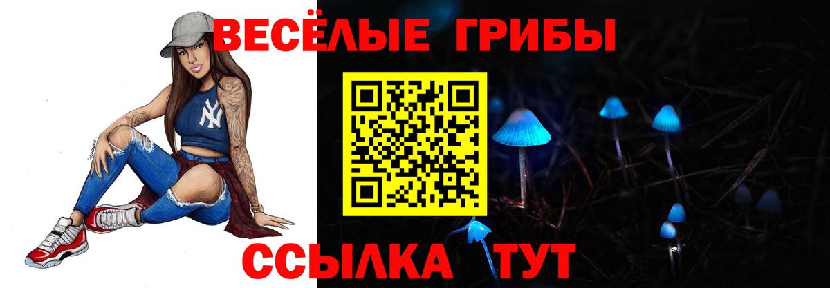 Псилоцибиновые грибы MAGIC MUSHROOMS  Вход с VPN  Галлюциногенные грибы Magic Shrooms  Заречный 